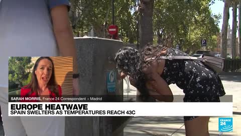 Spain swelters as temperatures reach 43C in second heatwave • FRANCE 24 English