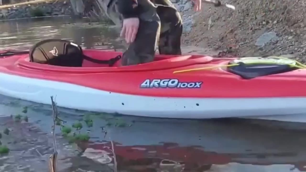 The end 😂😂😂 #viral #shorts #fails #funny #mmvfunny