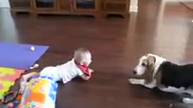 baby joining with dogi