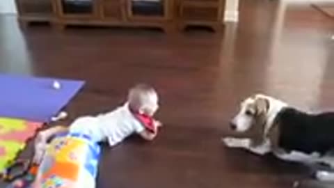 baby joining with dogi