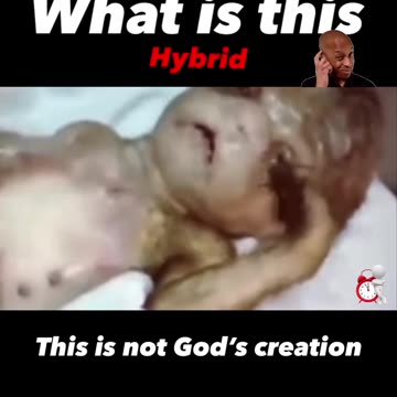 What kinda Hybrid thing is this ? 🤷‍♂️