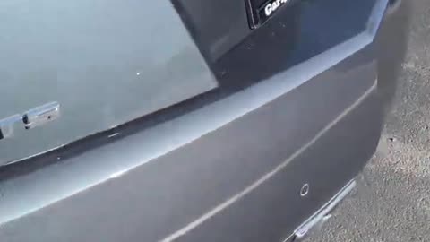 Wild Animal Damages Cadillac at Dealership