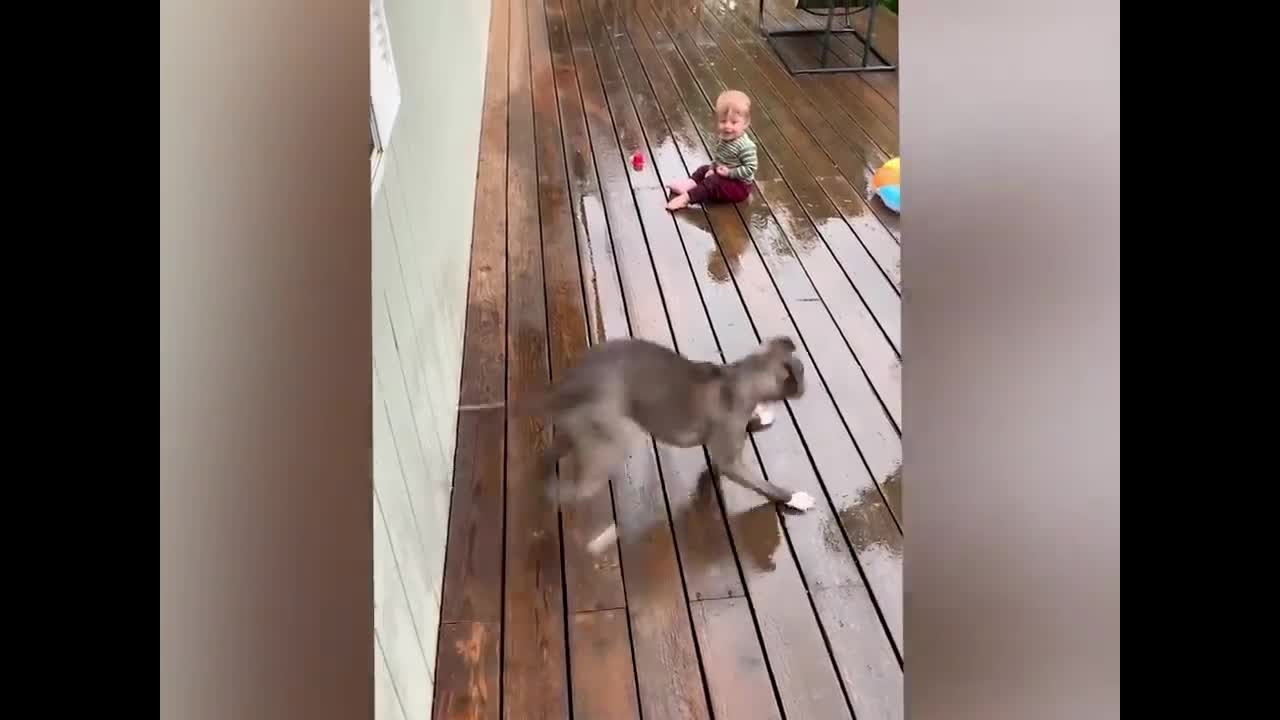 Small animals are good growth partners for babies