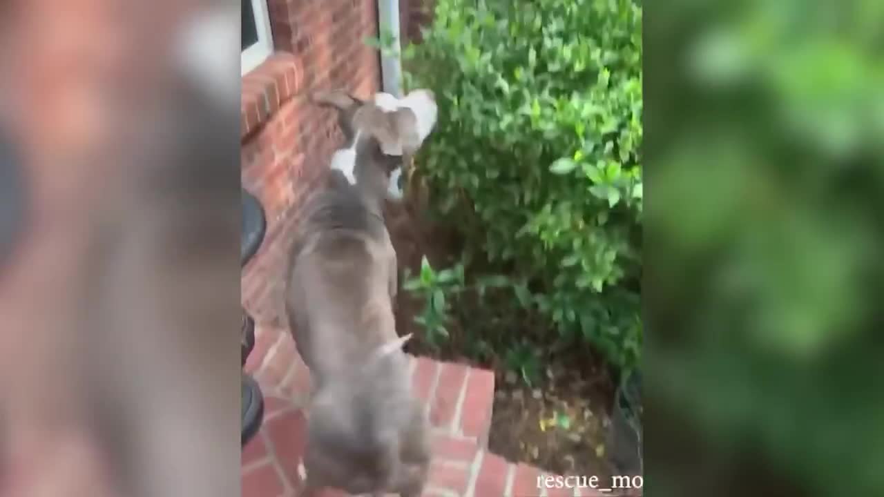 7 МИНУТ СМЕХА