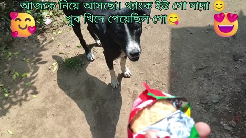 I got a scolding from the two dogs when I went to feed them