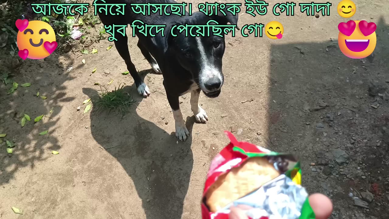 I got a scolding from the two dogs when I went to feed them