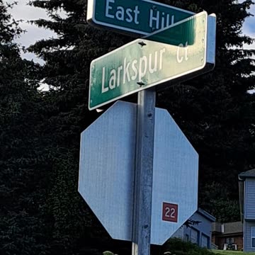 East End Road looking over the Kachemak Bay, Homer Alaska 7/21/23