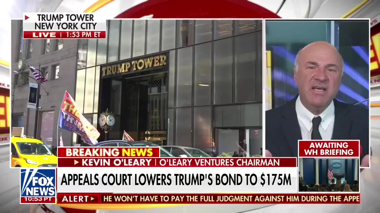 "The Adults Are Back!" - Mr. Wonderful Reacts to Trump Bond Reduction
