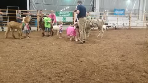 Harrison County 4h Fair 2018 On The News!