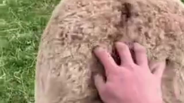 Let's put the video in the top views