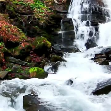 I am Thriving, Fulfilled, Satisfied and Losing Weight #174hz #soundhealingmeditation #affirmations