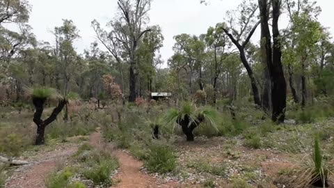 Bibbulmun Track Day 8 Brookton To Canning