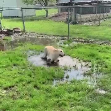 My Recent Journey Regarding Spirituality 🤣