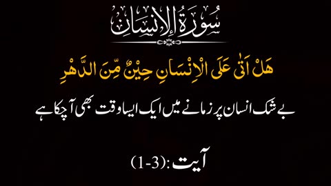 Islamic Shorts- Holy Quran