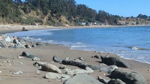 New Brighton, California State Beach