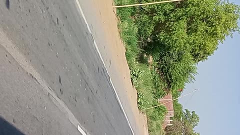 Travel
