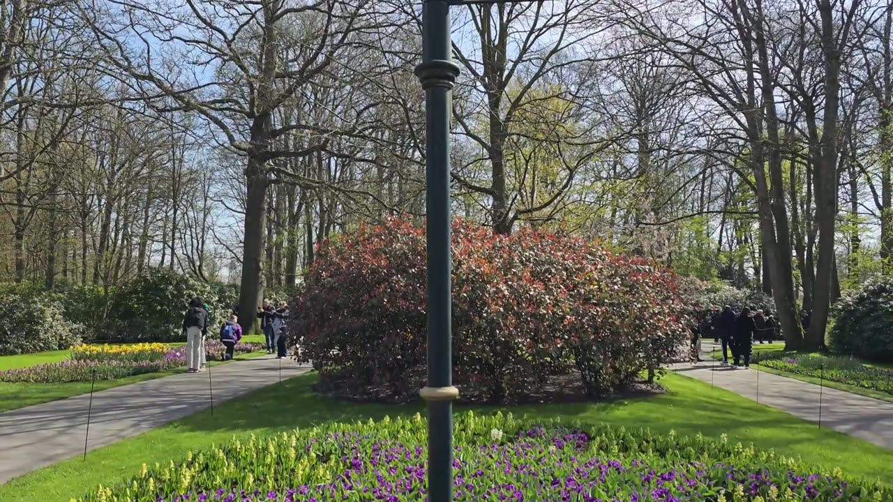 The kukenhof Netherlands beautiful view 2023