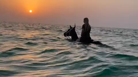 Dubai horse 🐎