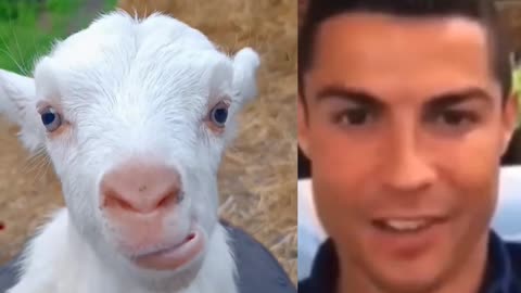 Ronaldo react in this video