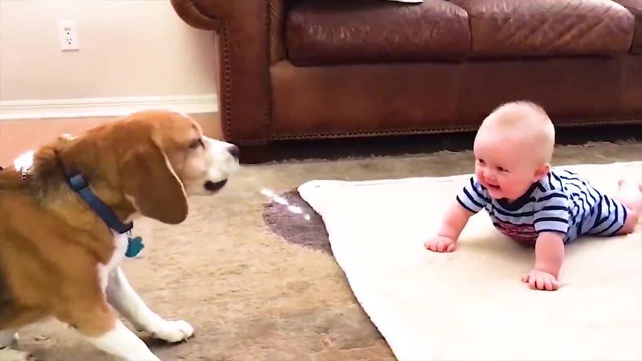 Funniest Moments with Baby Laughing (13)