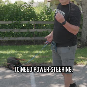 Can We Transform This Lazy Doberman Pinscher?