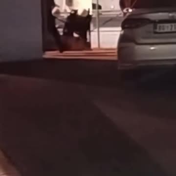 POLICIJA I BATINAŠI U CIVILU SU TUKLI I HAPSILI GRAĐANE KOJI SU BLOKIRALI AUTOPUT