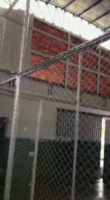 QUADRA DE PORTO FRANCO