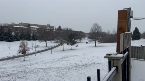 Toronto had this much snow over the last 24 hours