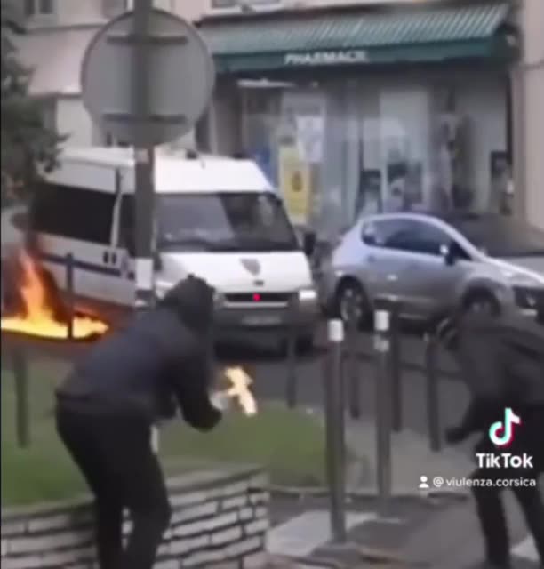 Les Corses ont tout compris !!