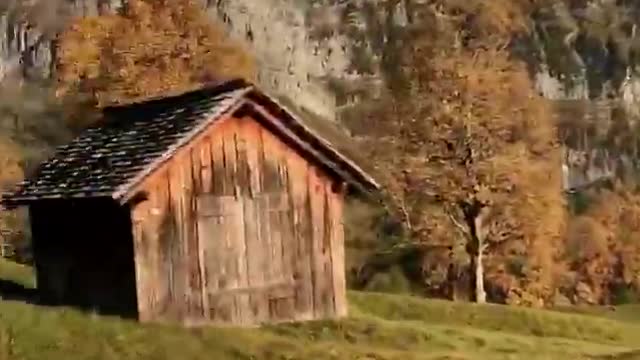 Café da manhã com vista para a Suíça 🇨🇭 Quem você levaria Vídeo