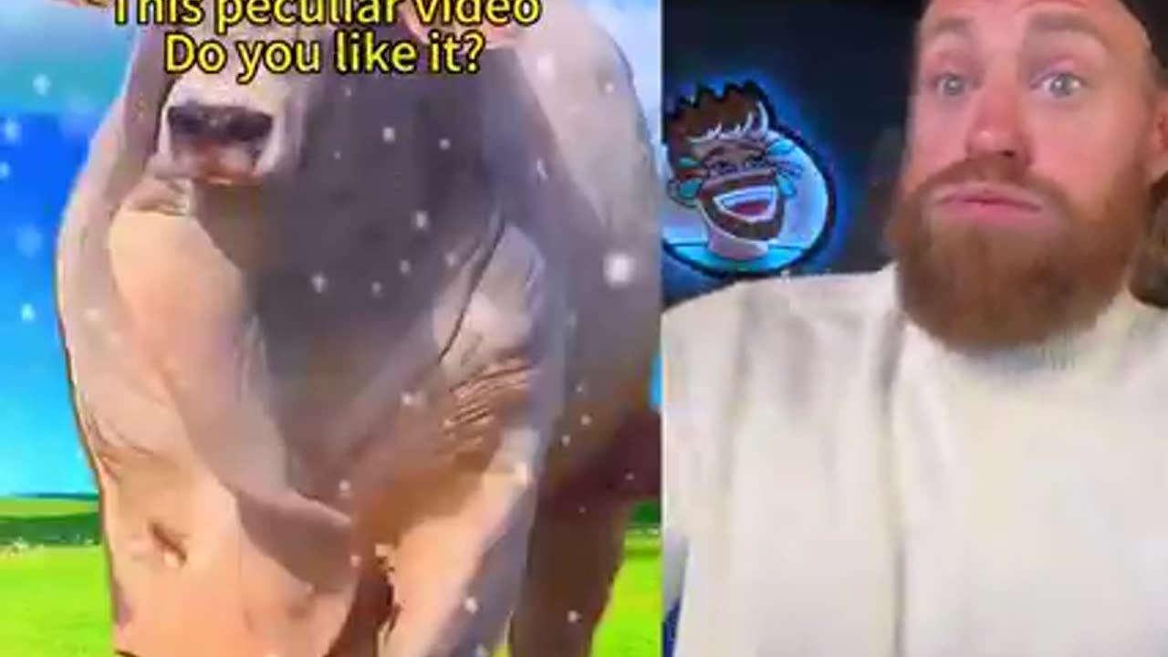 The Most Strangest And Disturbing Videos On The Internet...💀
