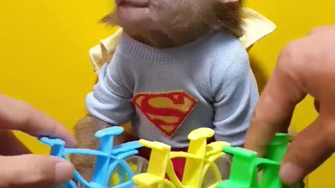 Very smart monkey