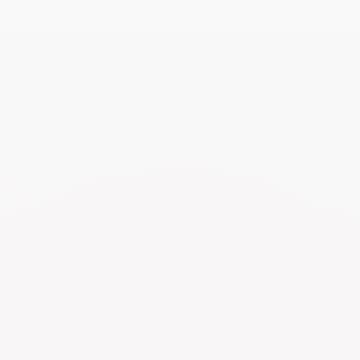 The Basement NY Podcast