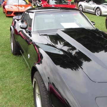 1979 Chevrolet Corvette