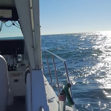 Fishing trip with friends