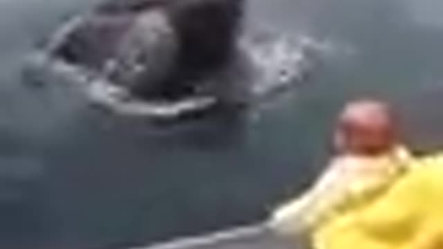 Whale jump out water with man