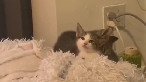 Wait for it