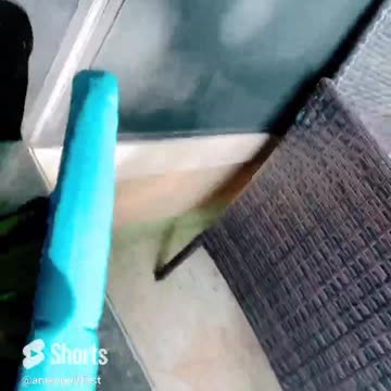 Peaceful Vibes #shorts