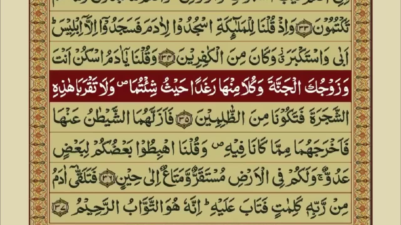 Quran 1 para with urdu translation «part 19»