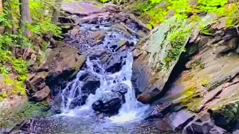 LUNCH BY A WATERFALL