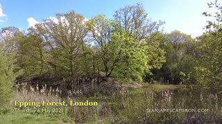 Walking from Wanstead Park to Epping Forest in London