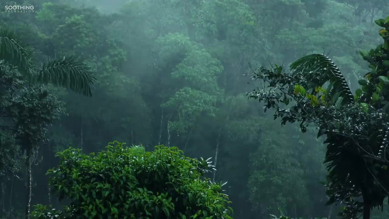 Relaxing Music & Soft Rain: Sleep Music, Calm Piano Music, Healing Music, Peaceful Music ★149