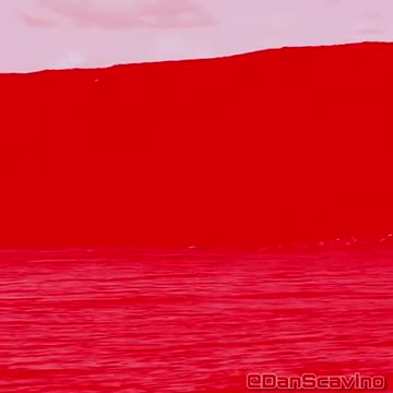 Dan Scavino Jr.🇺🇸🦅 6:03 PM · Oct 24, 2022