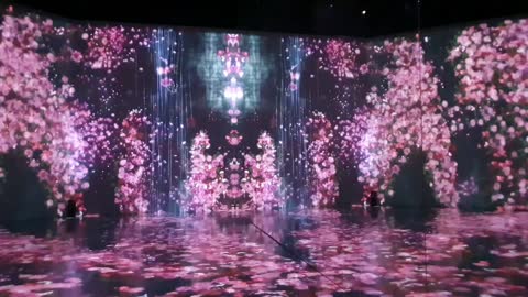 teamLab:LIFE exhibition 2