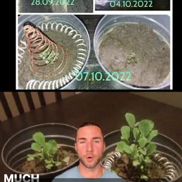 Co je elektrokultura?