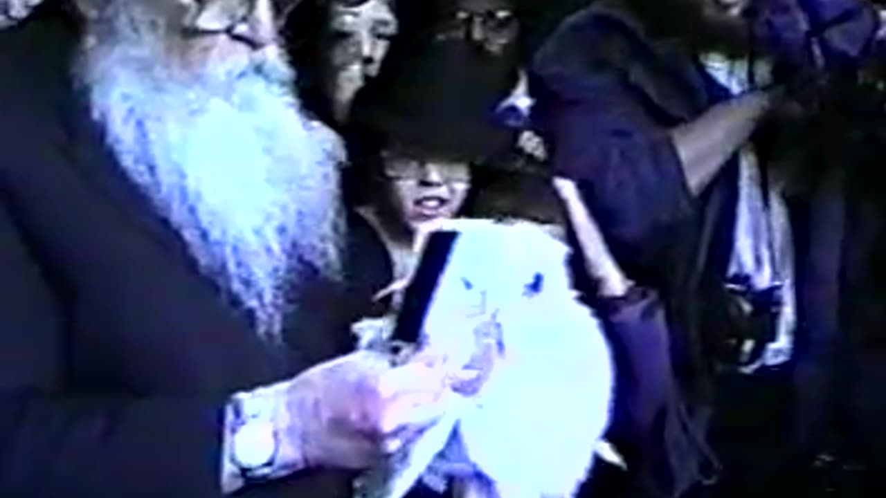 15. Erev Yom Kippur 5750, Kaparos = ערב יום כיפור תש"נ
