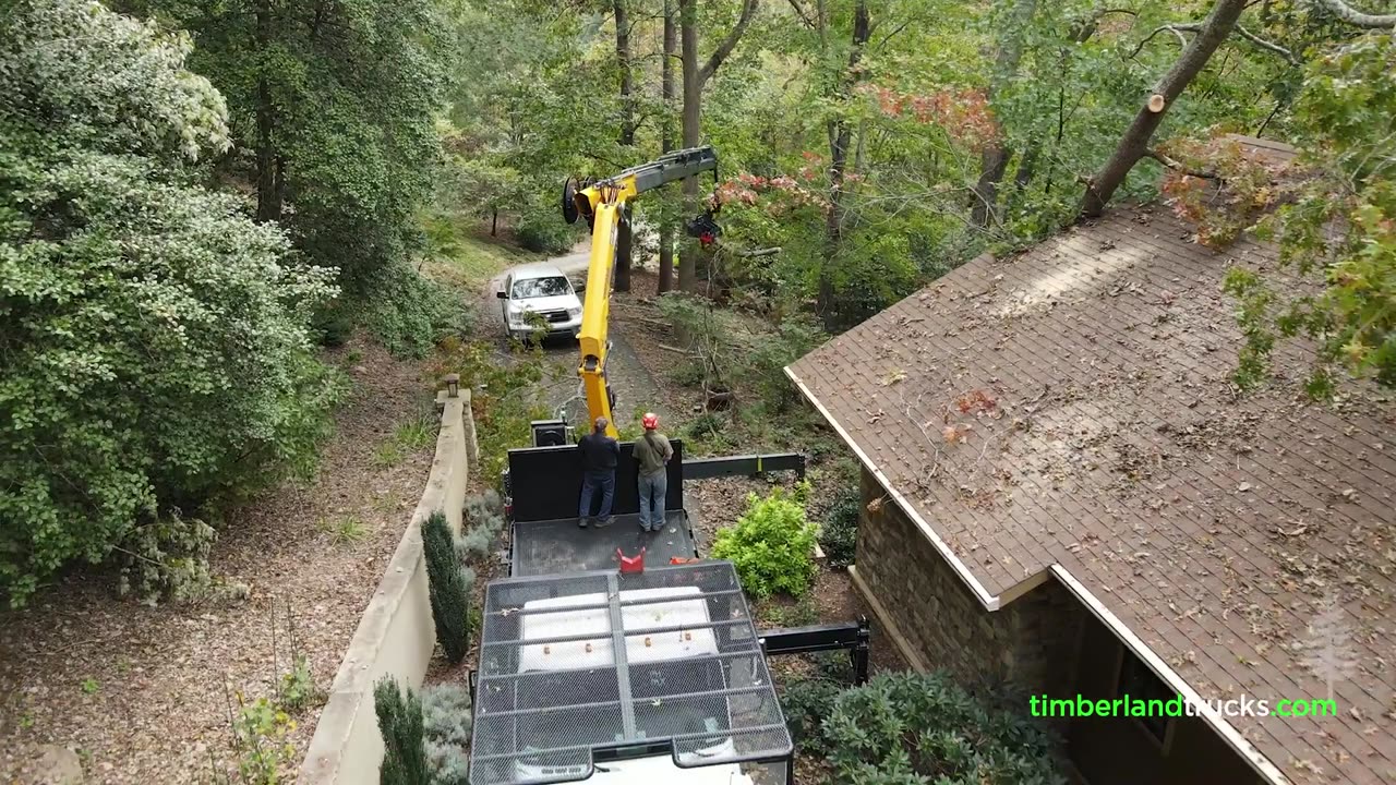 Clean up after Hurricane Helene in Ashville with Timberland's Rearmount Treezilla Jr