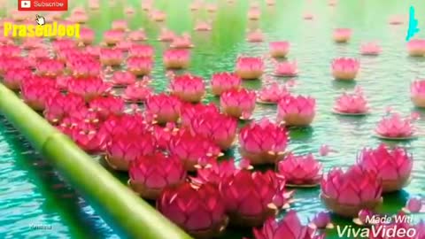 Amazing 3d Lotus Pond Animation Video By Prasenjeet Meshram