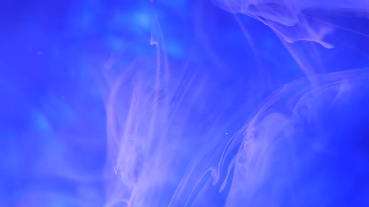 White Smoke Motion Backgrounds For Edits || Free Video Background Loops - Copyright Free Backgrounds