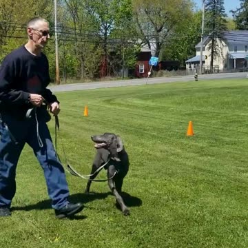 River's 5PoP Say my name to just walking